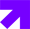 NoLimit Arrow - Purple